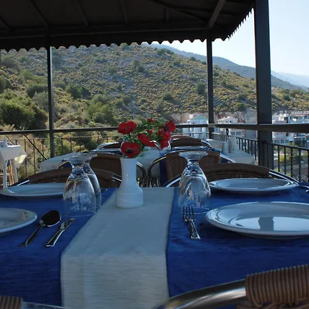 Carpe Diem Gold Finike