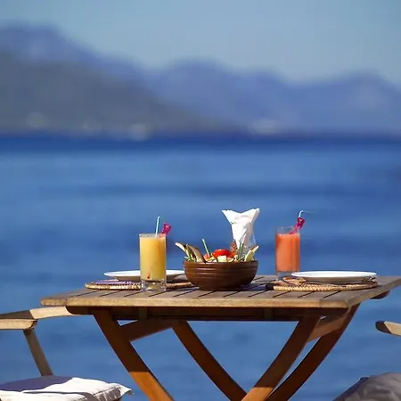 Hotel Carpe Diem Gold