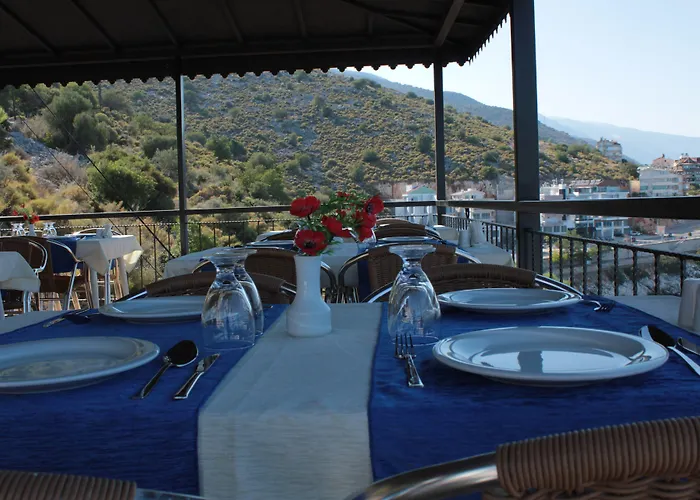 Carpe Diem Gold Finike